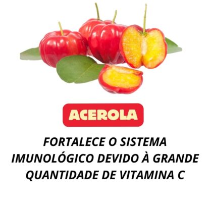 Garrafada para Imunidade - Imagem 3