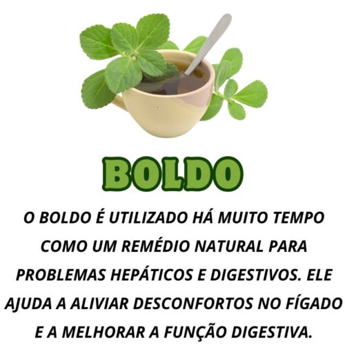 Garrafada Chá Mix de Plantas para o Figado 100% Natural - Imagem 4
