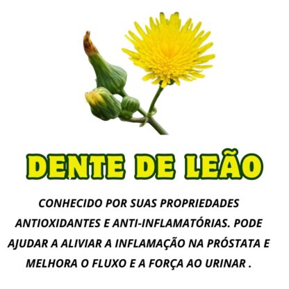 Garrafada para a Próstata - Imagem 4