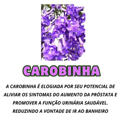 Garrafada para a Próstata - Imagem 3