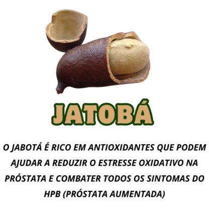 Garrafada para a Próstata - Imagem 2