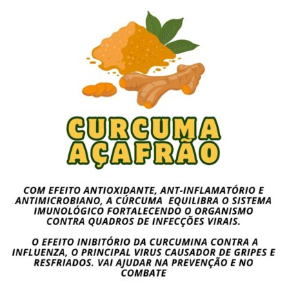 Garrafada para Imunidade - Imagem 2