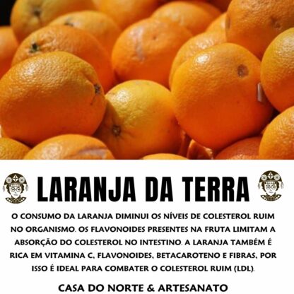 Garrafada Chá Mix de Plantas para Colesterol 100% Natural - Imagem 4