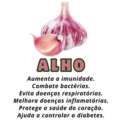 Garrafada para Imunidade - Imagem 6