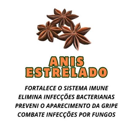 Garrafada para Imunidade - Imagem 4