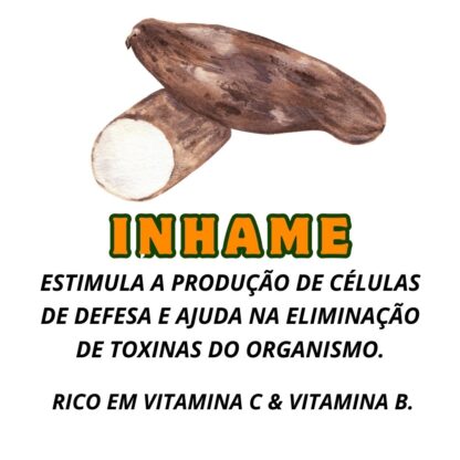 Garrafada para Imunidade - Imagem 5