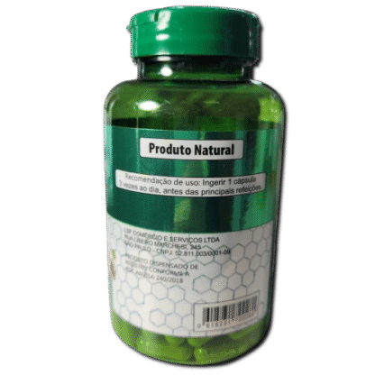 Ginkgo Biloba - 120g Cápsulas - Imagem 3
