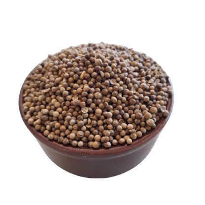 Semente de Coentro Plantio Alta Germinação - 100g - Imagem 3
