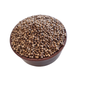 Semente de Coentro Plantio Alta Germinação - 100g