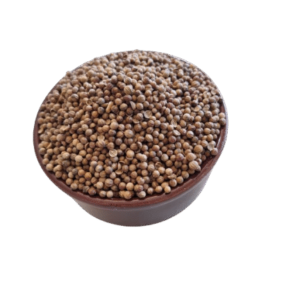 Semente de Coentro Plantio Alta Germinação - 100g
